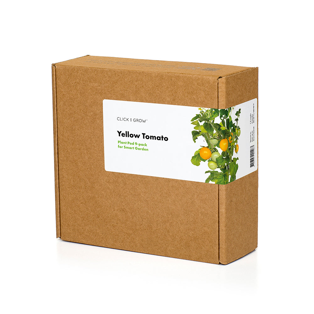Click & grow capsule de plantation Tomates mini jaunes pack de 9