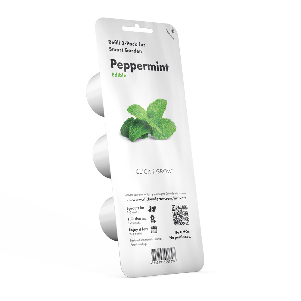 Click & grow Pflanzkapsel Pfefferminz 3er Packung