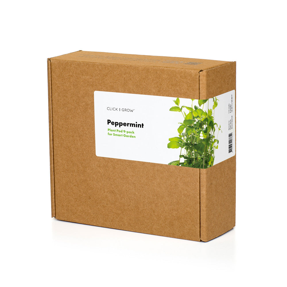 Click & grow capsule de plantation Menthe poivrée pack de 9