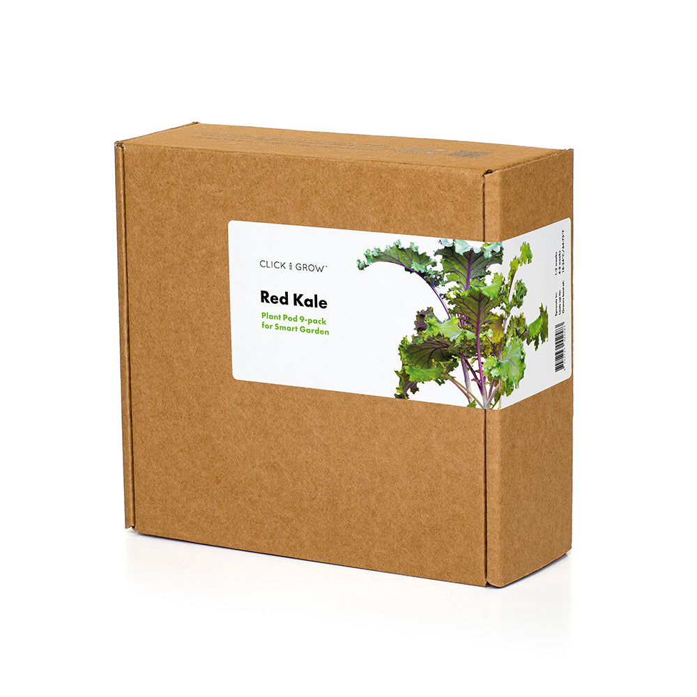 Click & grow Capsule de plantation Chou rouge Pack de 9