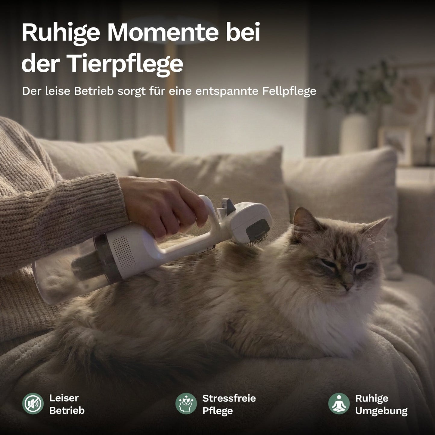 Person entfernt sanft Tierhaare mit leisem Handstaubsauger von Katze auf Sofa, sorgt für stressfreie und ruhige Fellpflege zuhause.