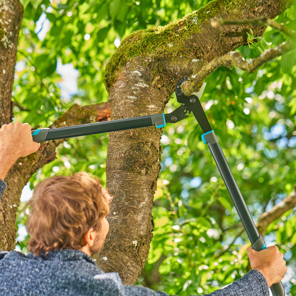 Gardena Coupe-branches EnergyCut Pro L Amboss Scène Homme 1