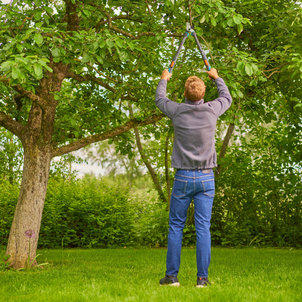 Gardena Coupe-branches TeleCut Pro S Scène Homme 2