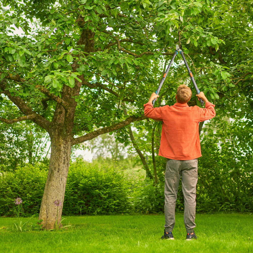 Gardena Sécateur télescopique TeleCut Pro S Scène Homme 4